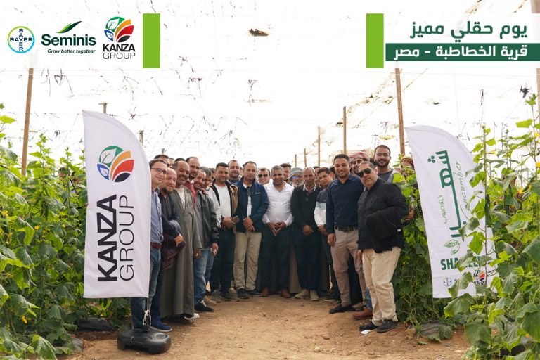 يوم حقلي مُميز لصنف خيار "شهير" مع شركاء النجاح Kanza Group