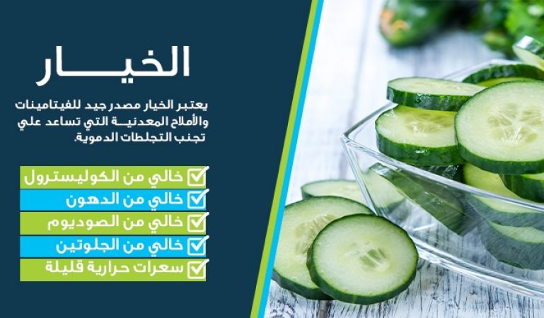 كل ما تريد معرفته عن زراعة الخيار في الصوب البلاستيكية