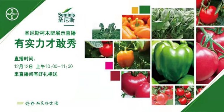时光荏苒须当惜，年终盛宴要相见---圣尼斯亮相广东会