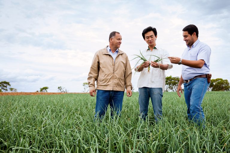 科普短片  Agronomy videos