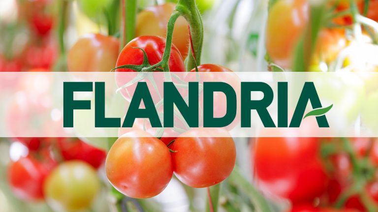 Grandice RES van De Ruiter opgenomen in Flandria-segmentatie