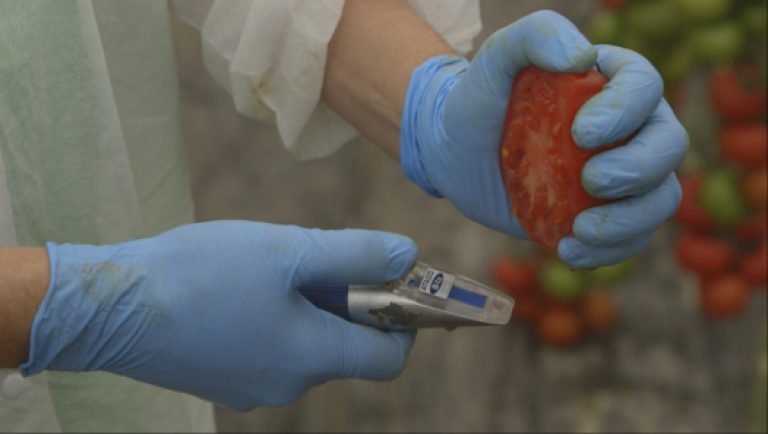 Taking Tomatoes Beyond Brix