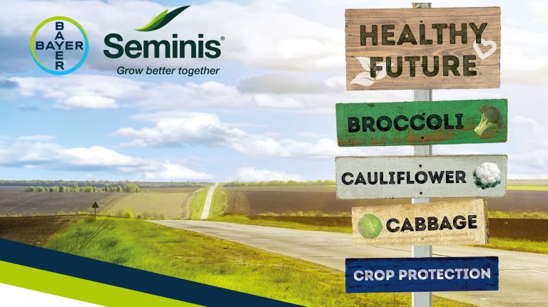 Seminis Brassica Innovation Days - 11, 12 & 13 October 2022