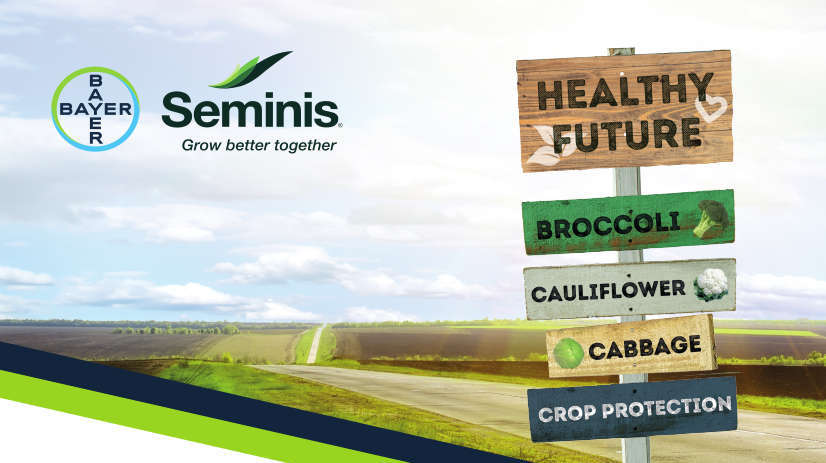 Seminis Brassica Open Day Invite 2023
