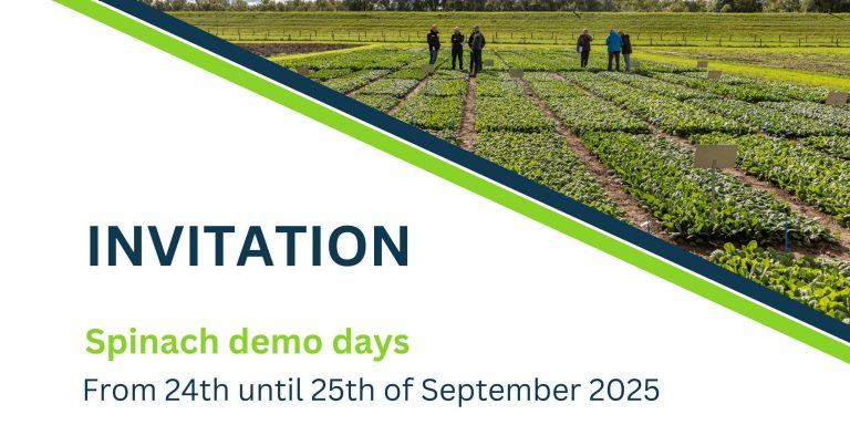 Seminis Spinach Demo Days -  September 24th & 25th