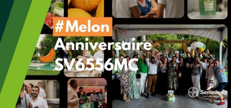 Anniversaire SV6556MC