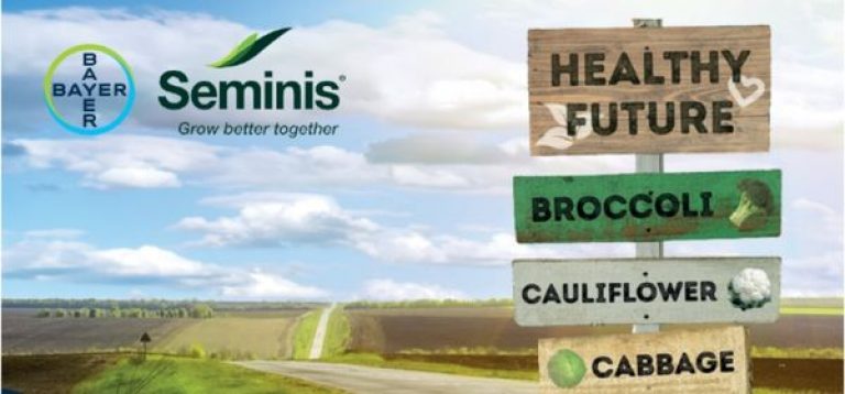 Évènement Brassica Innovation Days