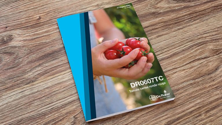 Leaflet Tomate DR0607TC