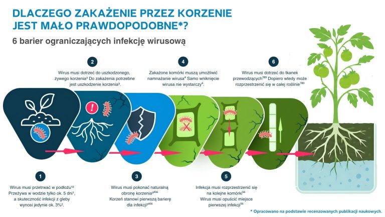 Co tak naprawdę chroni pomidory przed ToBRFV?