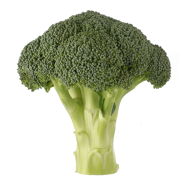 IRONMAN Broccoli SEMINIS