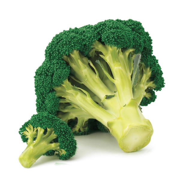 BC1764 Broccoli SEMINIS