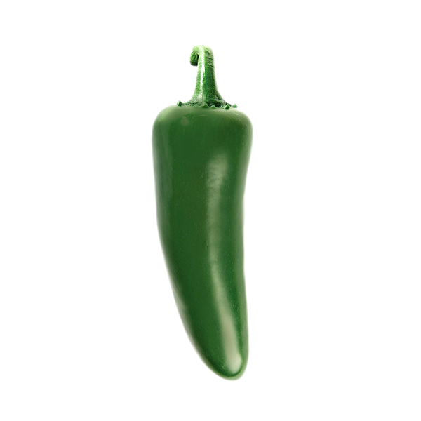 SV7017HJ Pepper SEMINIS