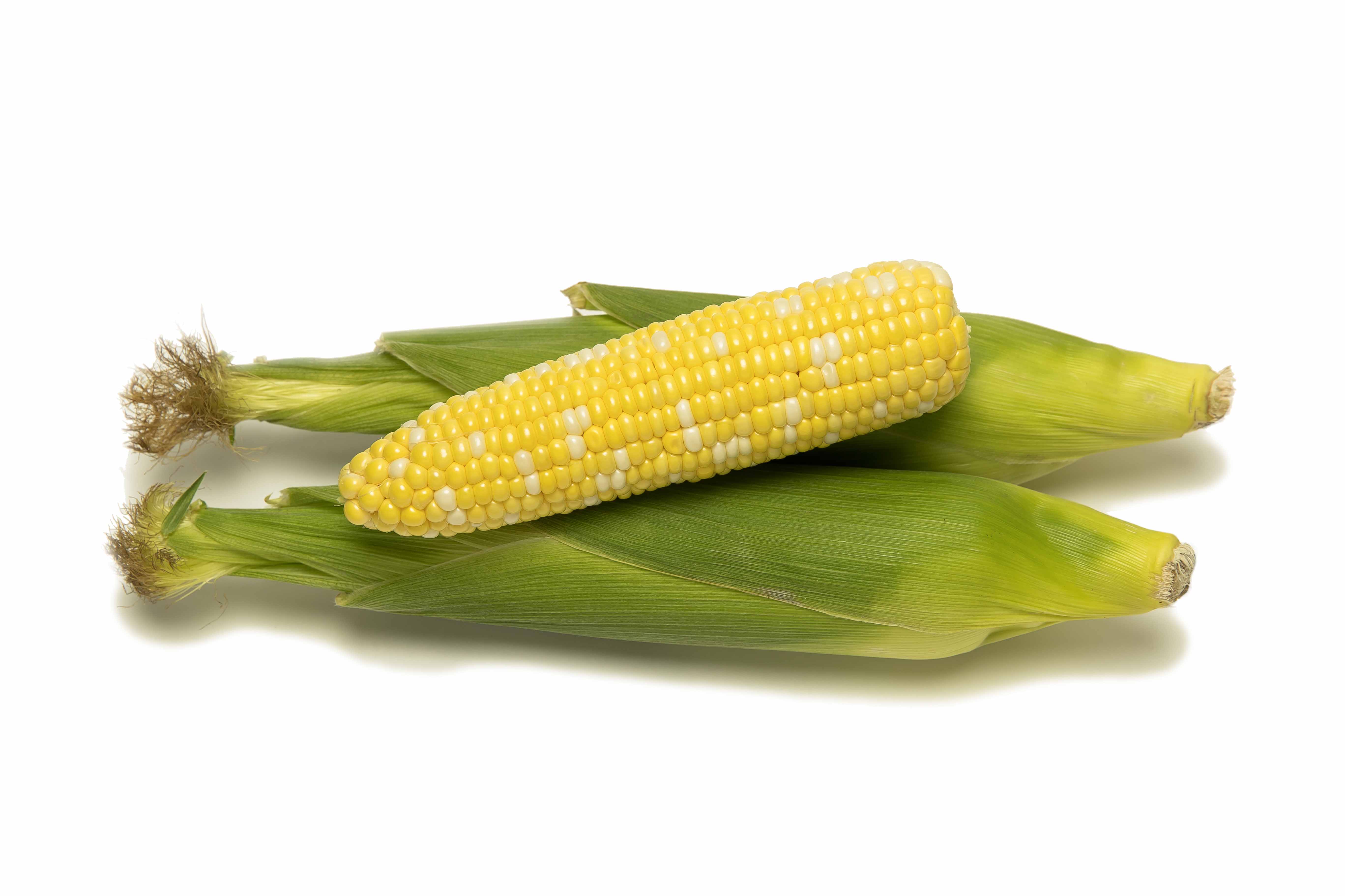 Sweet Corn