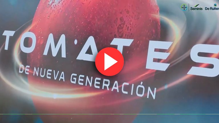 Tomates Nueva Generación | Innovación, resistencia y productividad para el futuro del tomate