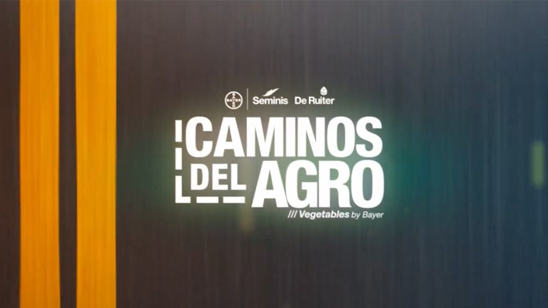 Caminos del Agro | El corazón tomatero de Sonora
