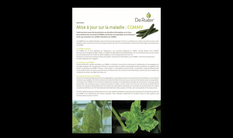 Concombre: Mise à jour sur la maladie : CGMMV