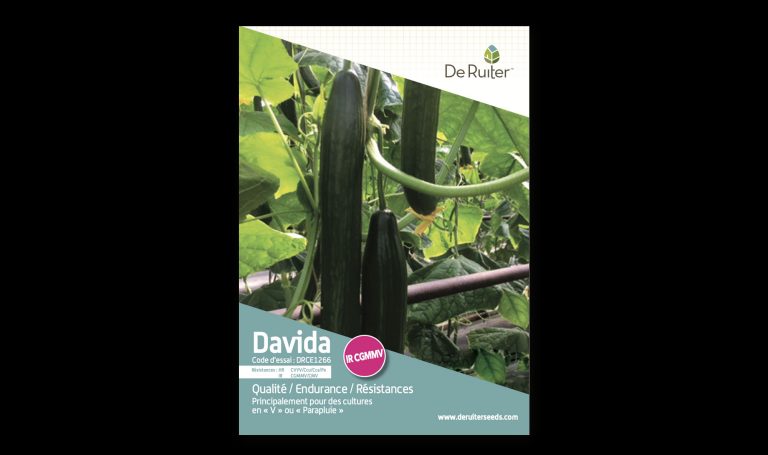 Leaflet Concombre Davida