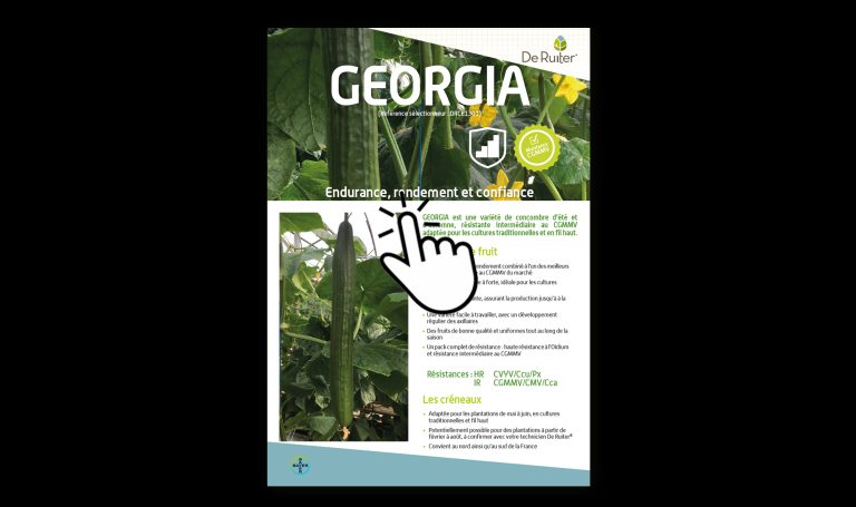 Leaflet Concombre Georgia