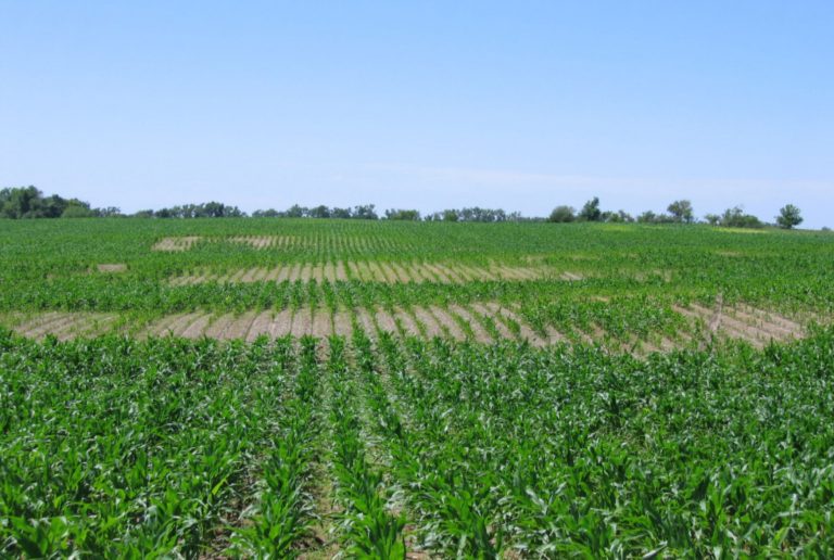 Monitor to Manage - Nematode Sampling Program for South East Queensland