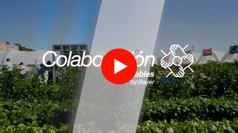 Sinergias en Bayer para el campo