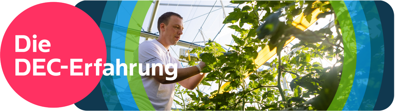 De DEC ervaring