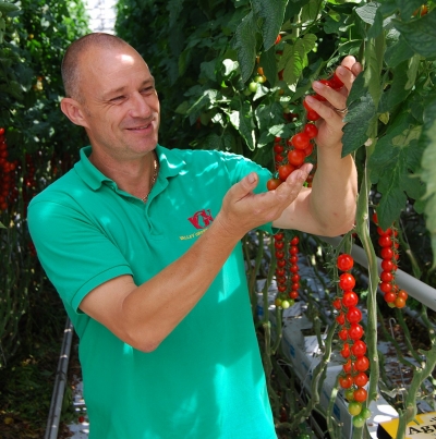 a new flavoursome cherry on the vine