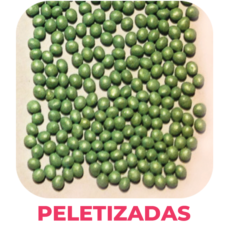 semillas peletizadas