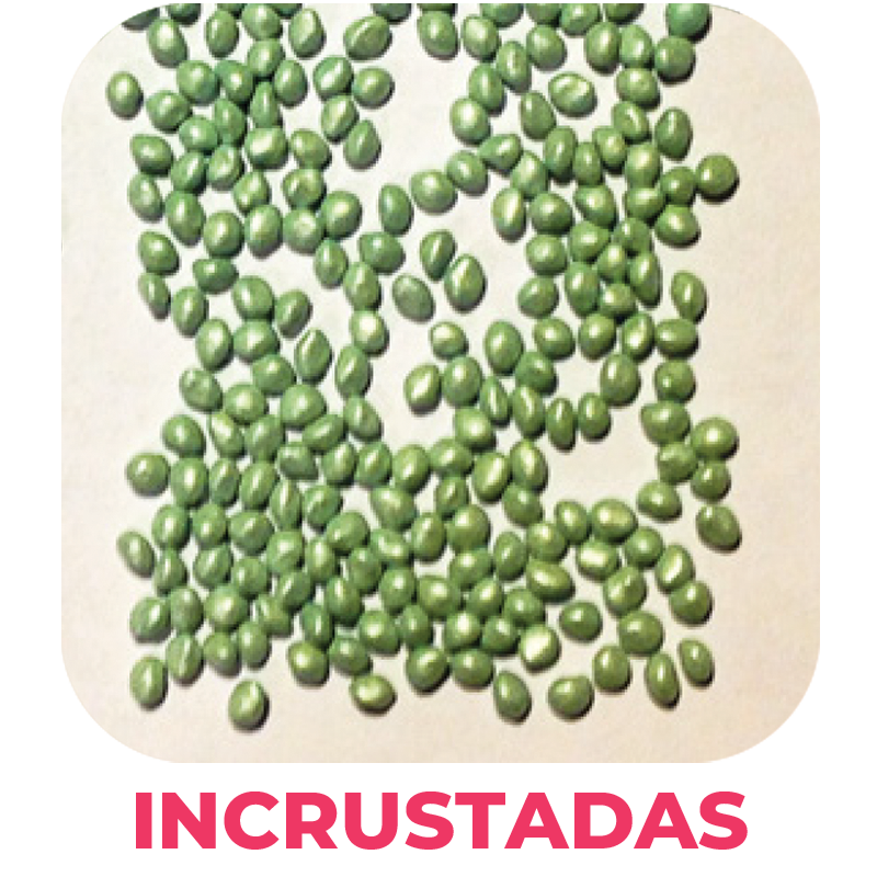 semillas incrustadas