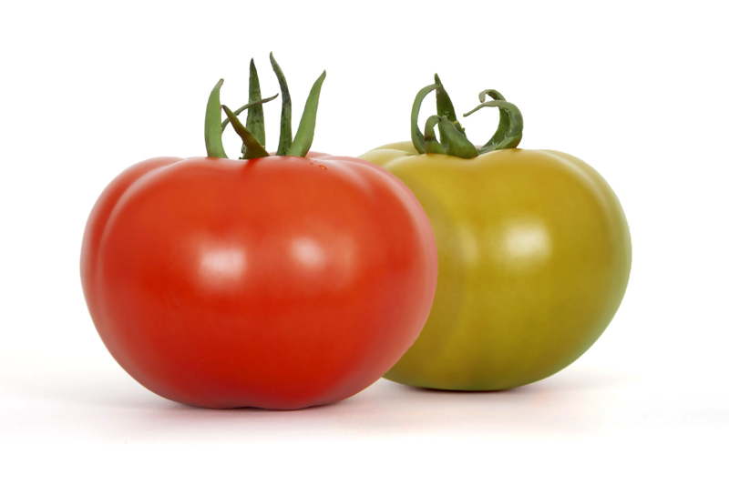 mazinger-tomate-seminis