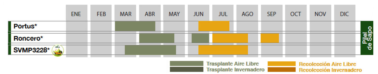 calendario de siembra de piel de sapo