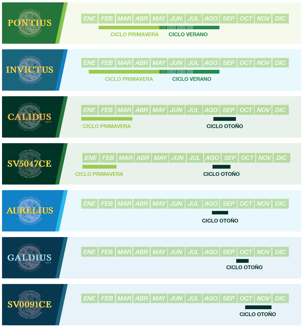 Calendario de variedades de pepinos