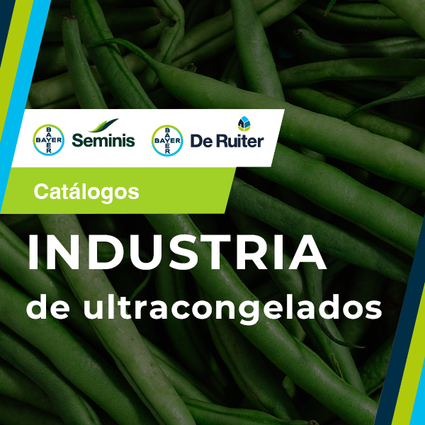 INDUSTRIA ULTRACONGELADOS