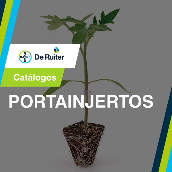 PORTAINJERTOS