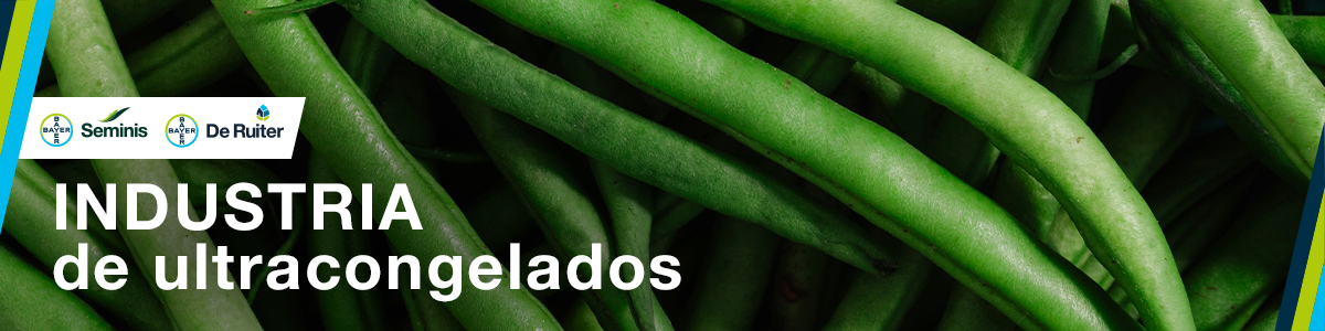 Industria de ultracongelados