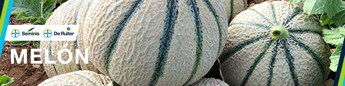 Melón banner