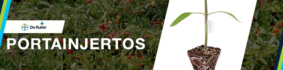 Portainjertos banner