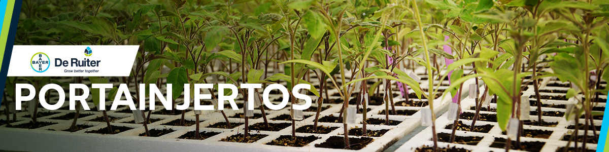 Portainjertos banner