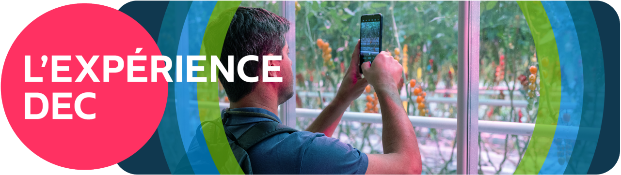 L’Expérience DEC