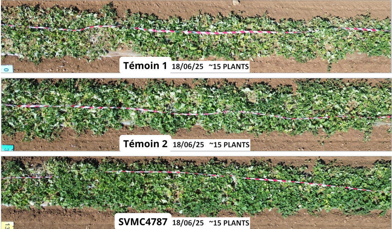 Votre texte de paragraphe - 2
