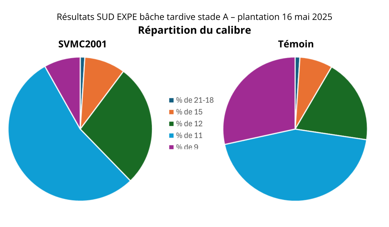 Votre texte de paragraphe - 3
