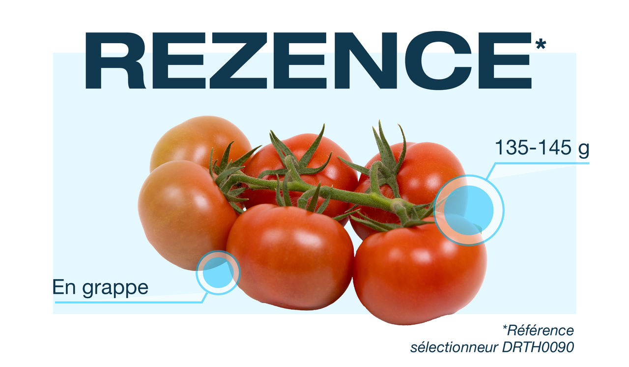 BAYER-SITE-ARTICLE_IMAGE-DE_RUITER-2025_08_27-768x358px-01