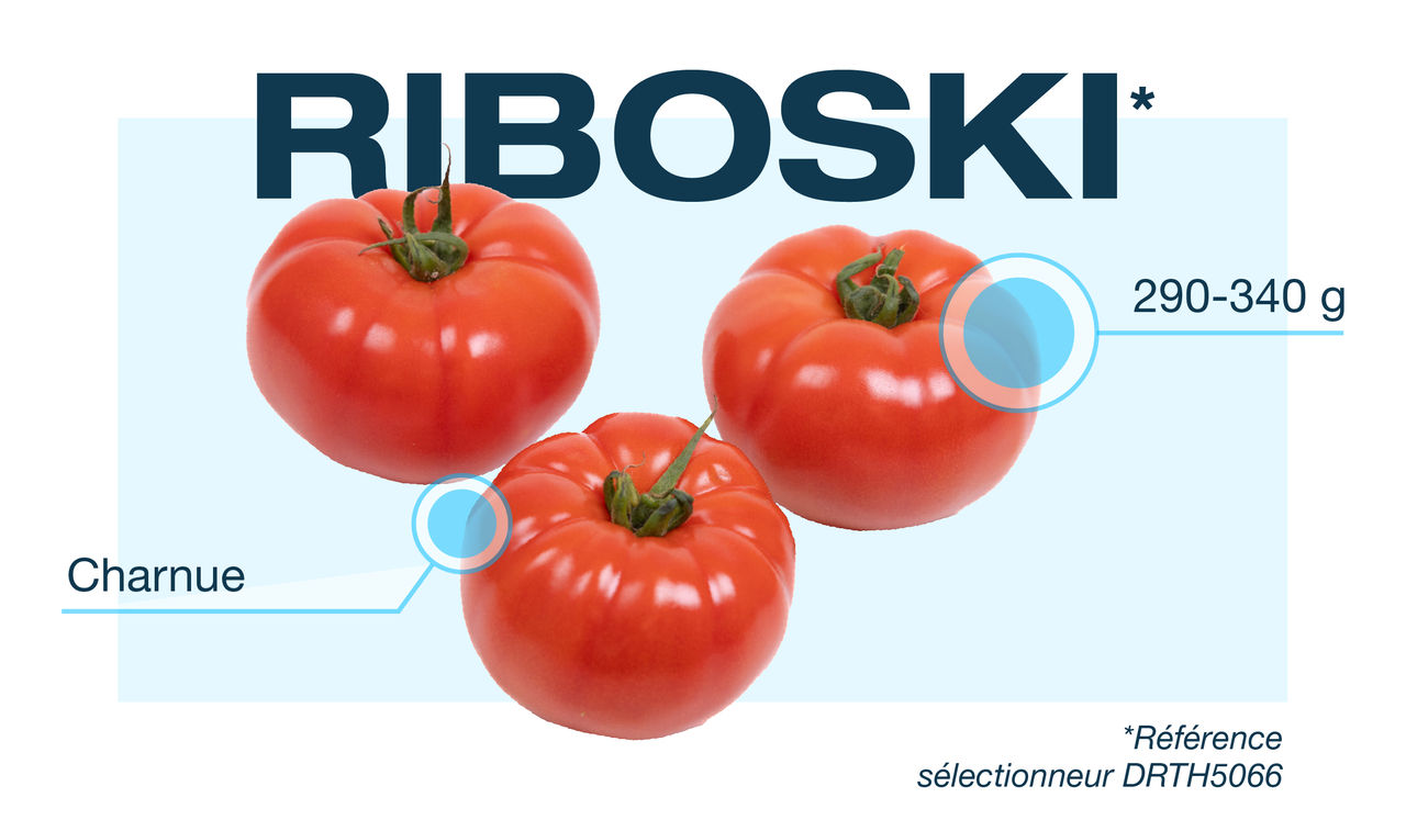 BAYER-SITE-ARTICLE_IMAGE-DE_RUITER-2025_08_27-768x358px-01