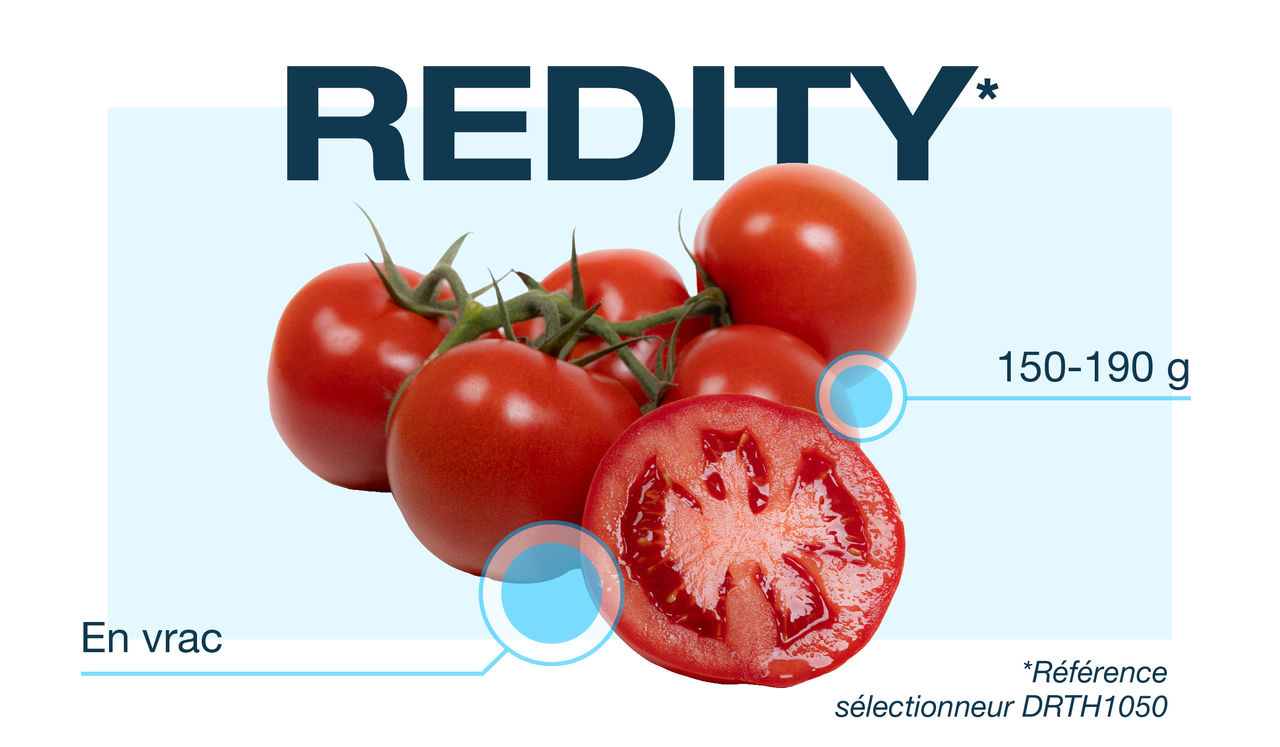 BAYER-SITE-ARTICLE_IMAGE-DE_RUITER-2025_08_27-768x358px-01