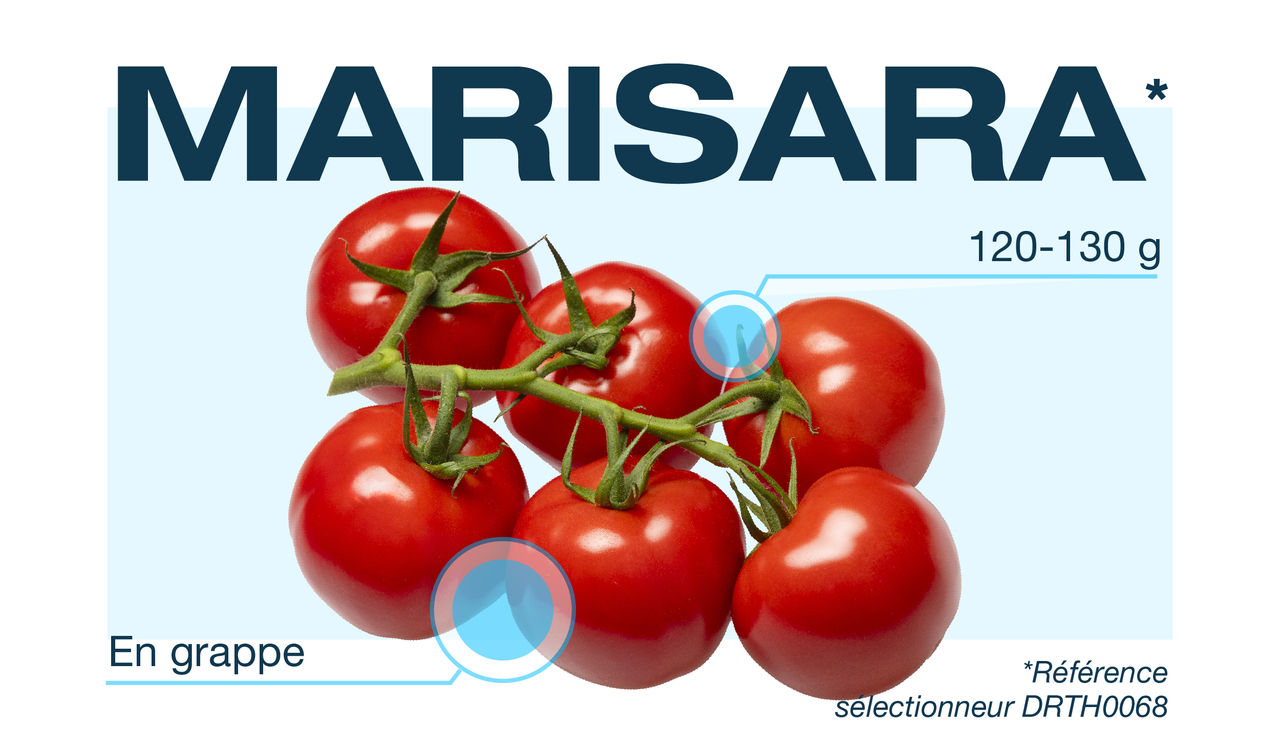 BAYER-SITE-ARTICLE_IMAGE-DE_RUITER-2025_08_27-768x358px-01