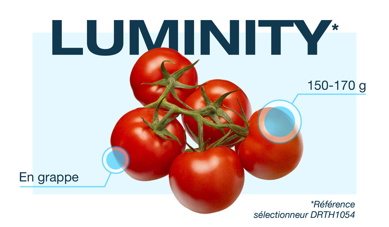 BAYER-SITE-ARTICLE_IMAGE-DE_RUITER-2025_08_27-768x358px-01