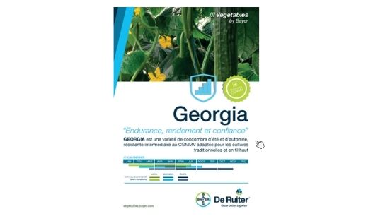 Georgia leaflet 2021