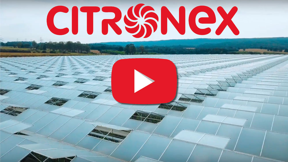 Citronex est une entreprise familiale opérant dans diverses industries, y compris la production de légumes..