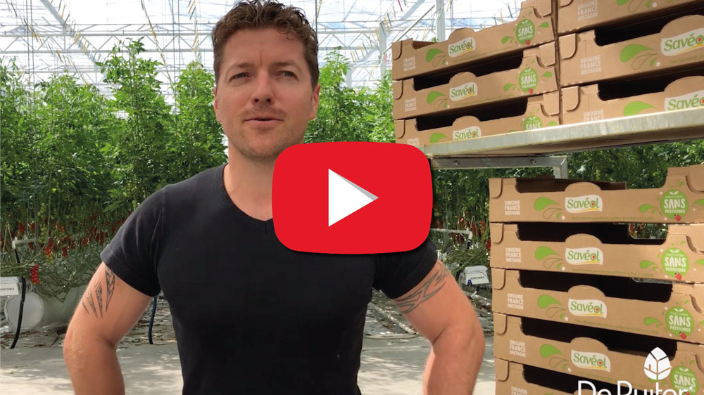 Nicolas Magueur, producteur de la coopérative Savéol, évoque sa relation avec De Ruiter.