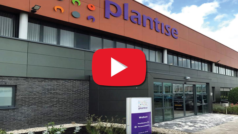 Dans cette vidéo, nous laissons Sander Leijgraaf du planteur Plantise avoir son mot à dire.