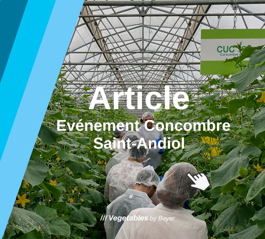 Article_Evenement_Concombre_Saint-Andiol_2022